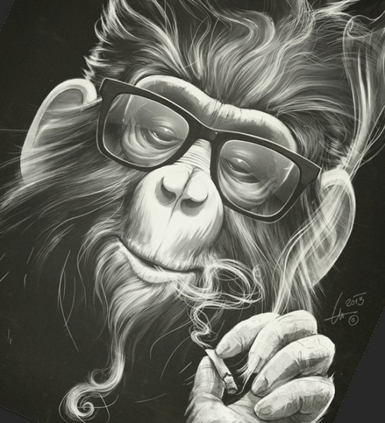 Крутая обезьяна