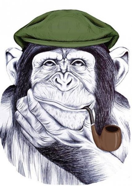 Крутая обезьяна