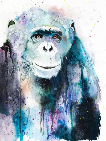 Chimpanzee Art картины