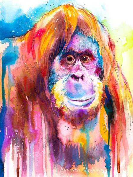 Обезьяна арт