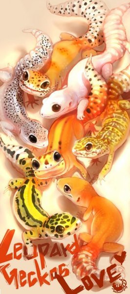 Эублефар арт милый