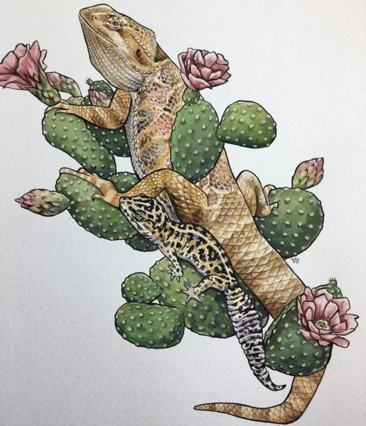 Эскиз тату рептилия