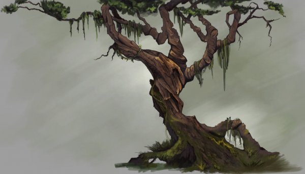 Деревья концепт арт