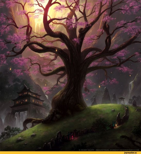 Магическое дерево