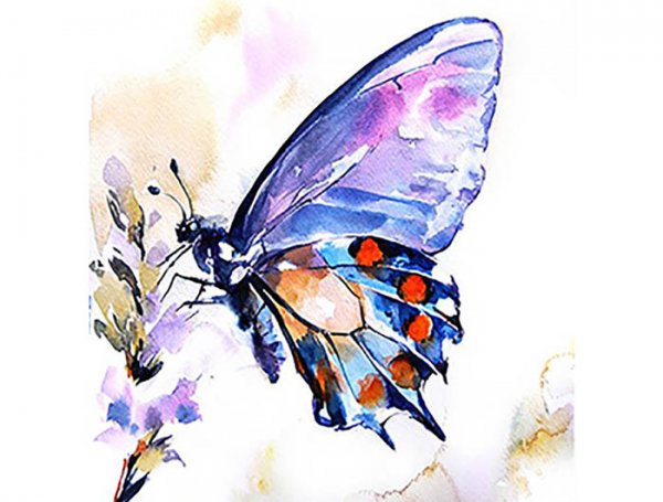 Бабочка гуашью