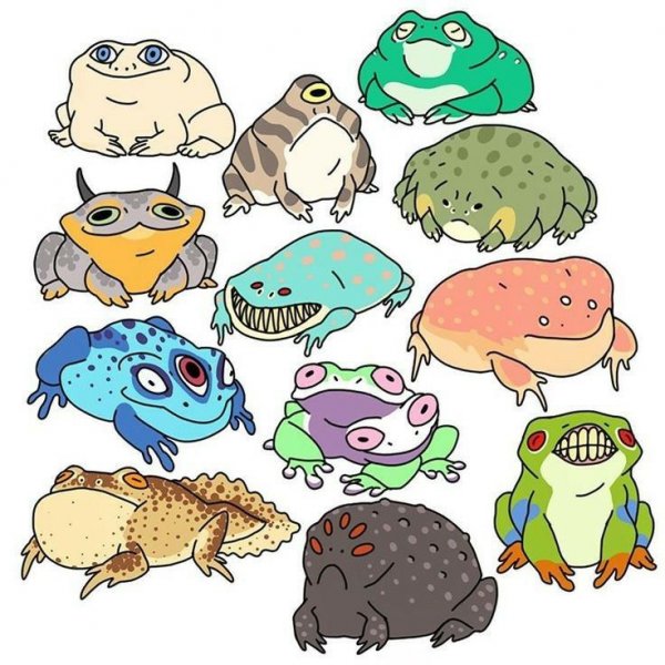 Няшная лягушка