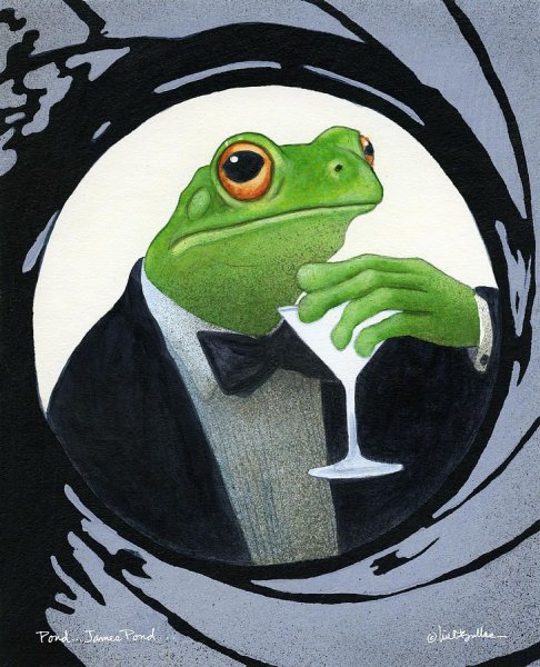 Лягушки арты