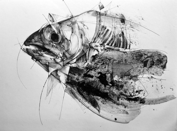 Рыба Графика