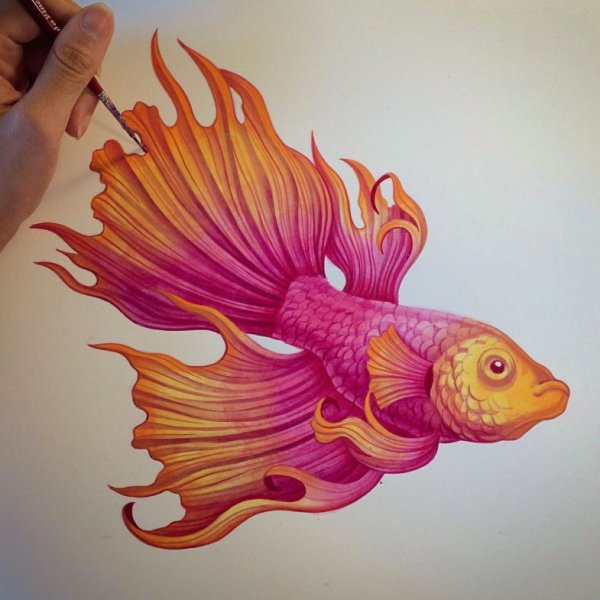 Рыбы акварелью