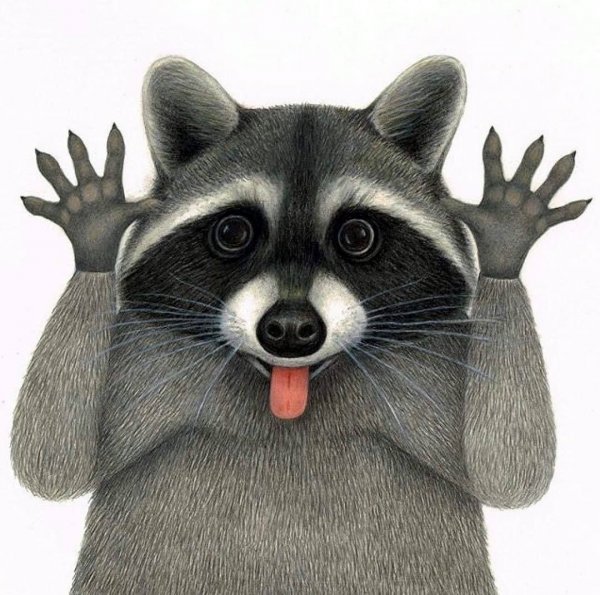 Осенние рисунки для срисовки