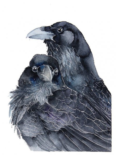 Мистические птицы