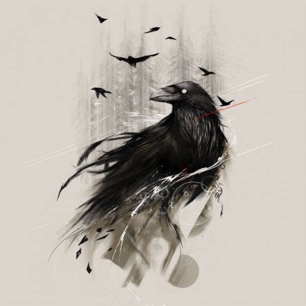 Ворон Графика