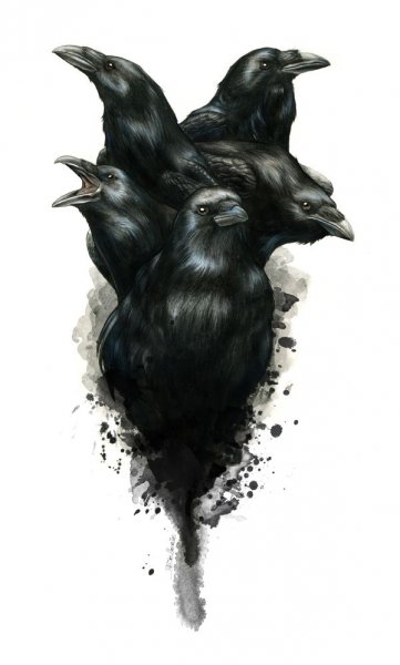 Ворон арт