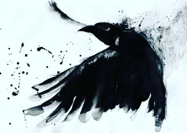 Ворон на черепе