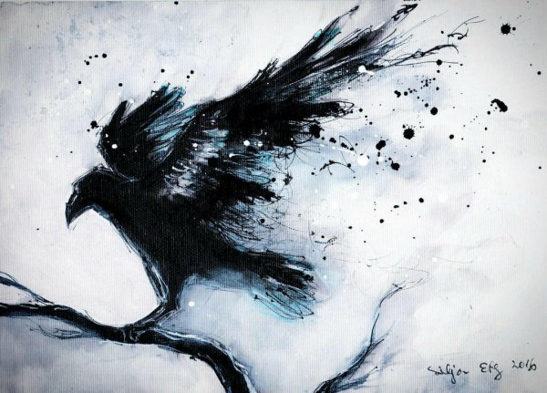 Трехглазый ворон эскиз