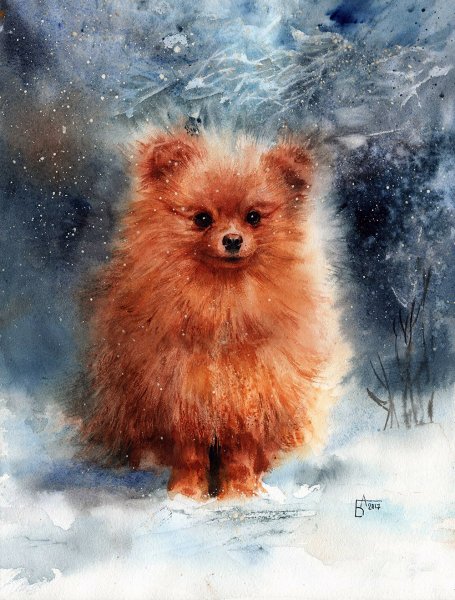 Анастасия Беседина акварель шпиц