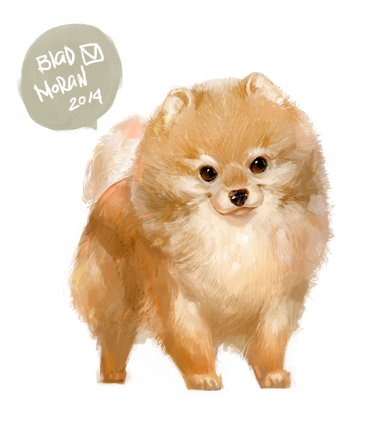 Померанский шпиц лого