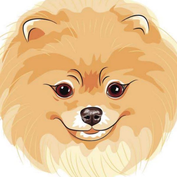 Шпиц в мультяшном стиле боком