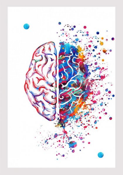 Мозг арт