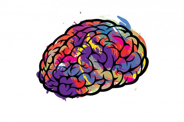 Мозг без фона