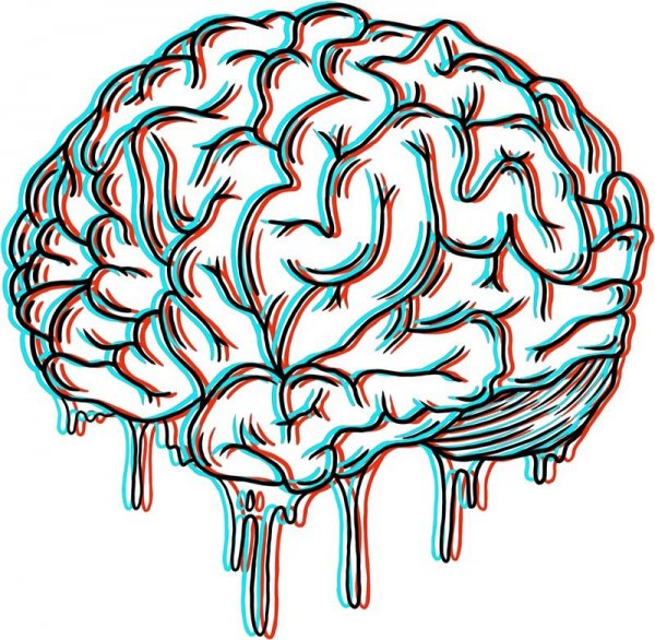 Мозг рисунок
