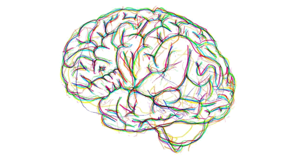 Мозг карандашом