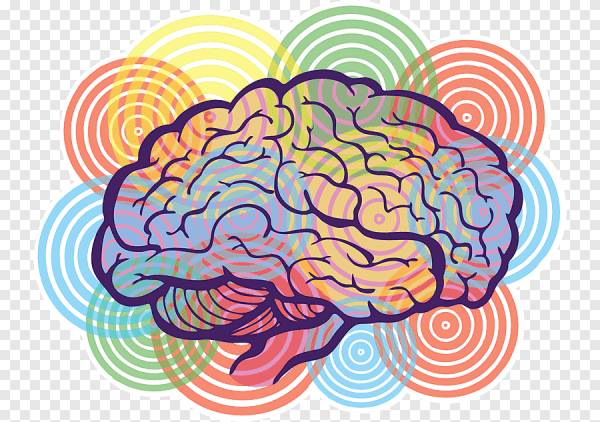 Мозг абстрактно