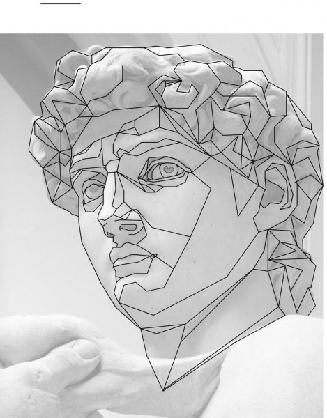 Давид Микеланджело ФРАГМЕНТЫ лайнворк