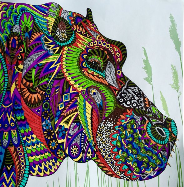 Террария арт