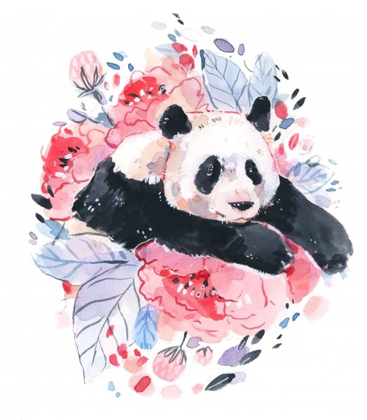 Панда иллюстрация