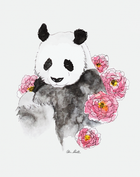 Панда рисунок