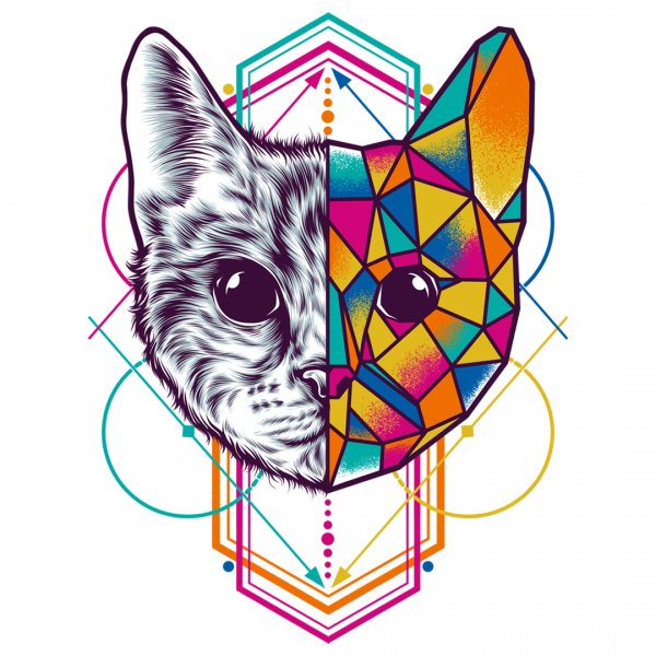 Геометрическая кошка