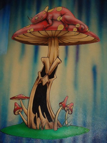 Аманита Мускария психоделика