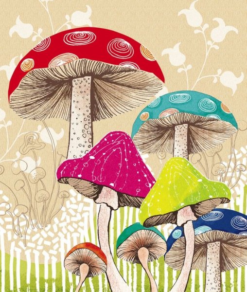 Грибы стилизация