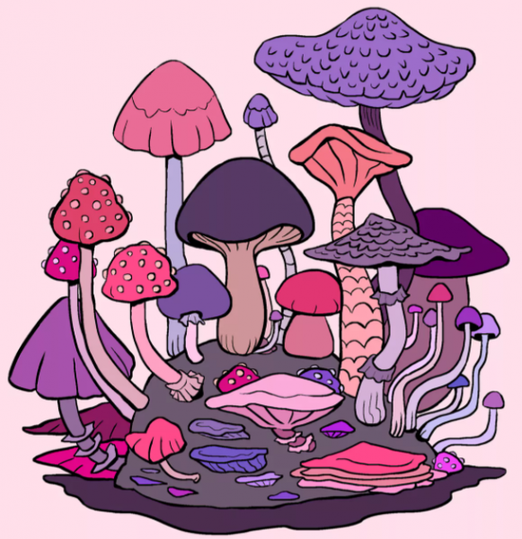 Грибочки инди КИД