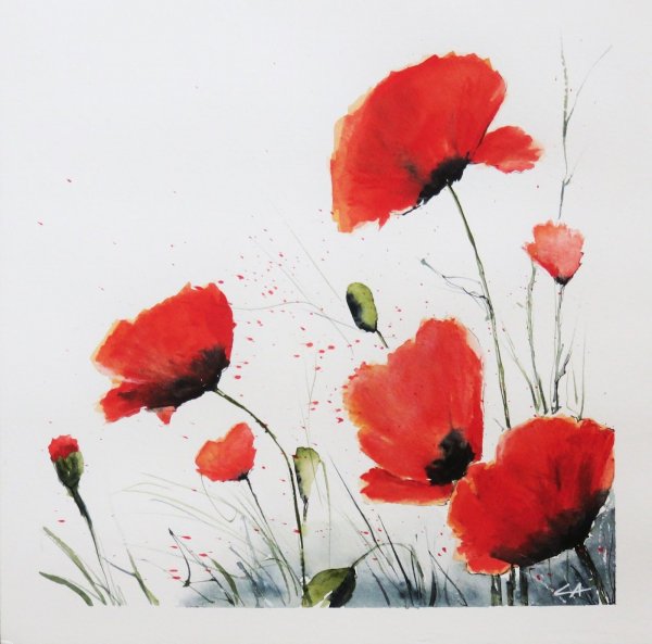 Маки в китайской живописи