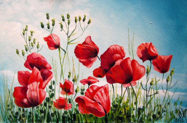 Маки красками