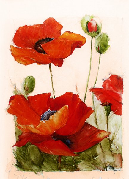 Мак акварель