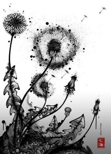 Черно белая Графика