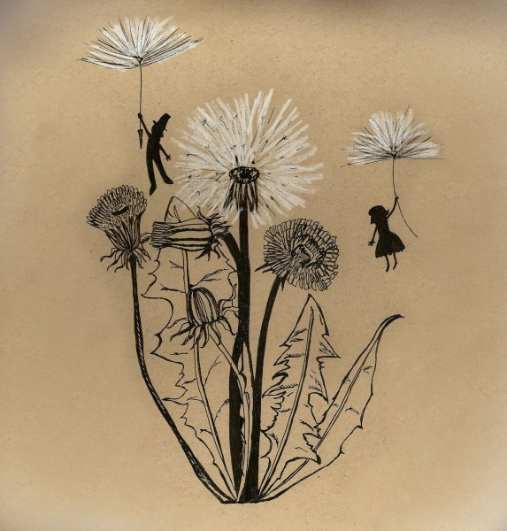 Одуванчик набросок