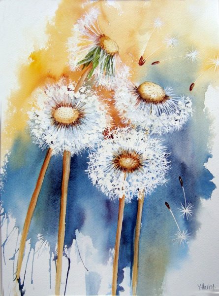 Ивонн Харри