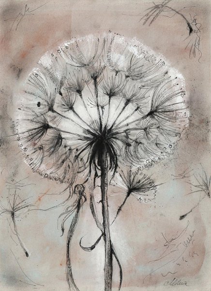 Одуванчик карандашом профессионально