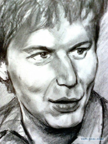 Сектор газа портрет