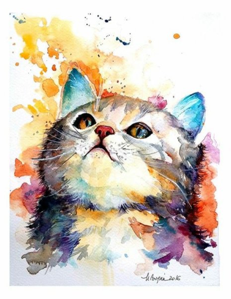 Кошка акварелью