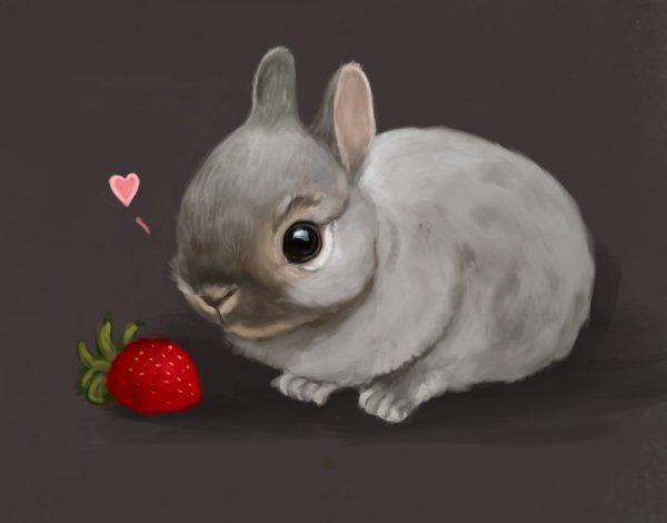 Кролики арты