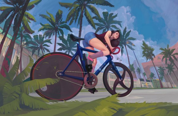 Велосипед арты