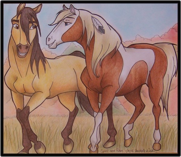 Спирит прерий роза