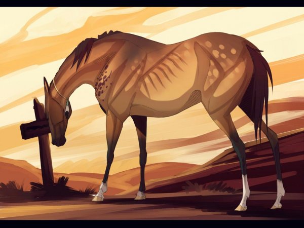 Арт лошади спирит спирит аниме