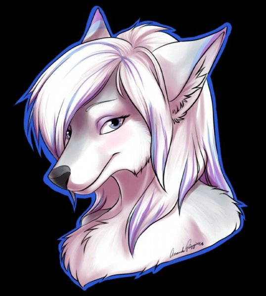 Фурри волчица