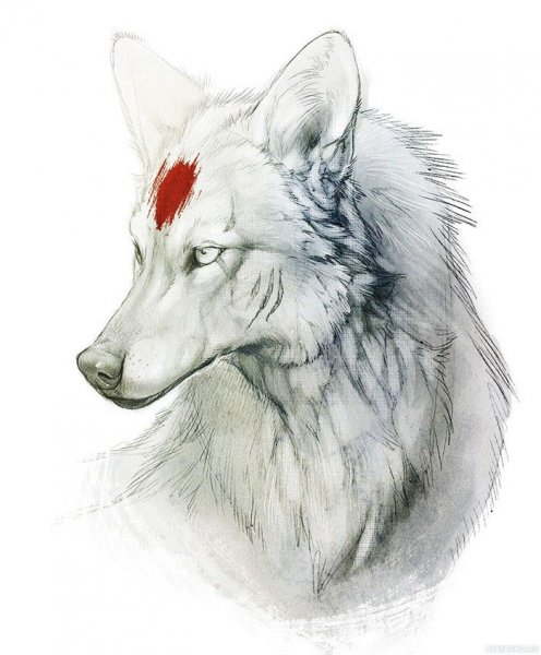 Белый волк арт